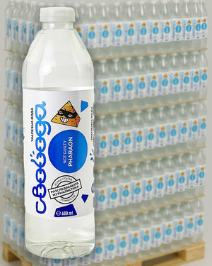 Вода Свобода 0.6 л. - 1 палет (1080 броя)